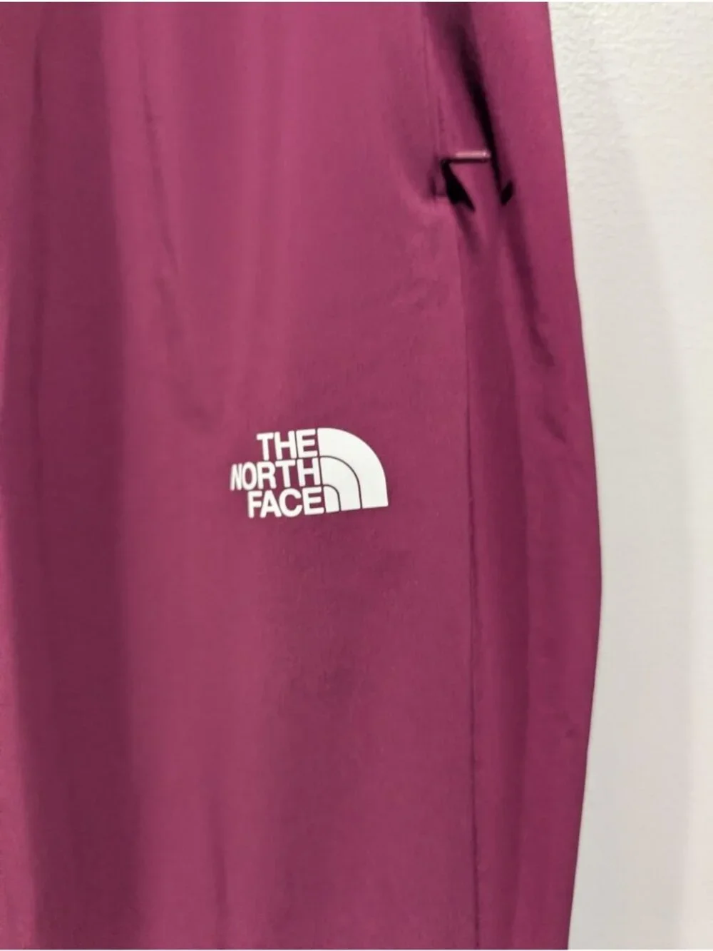 The North Face Wander 2.0 Joggers Men's Sz L Flash Dry Tech Deep Purple Outdoor
